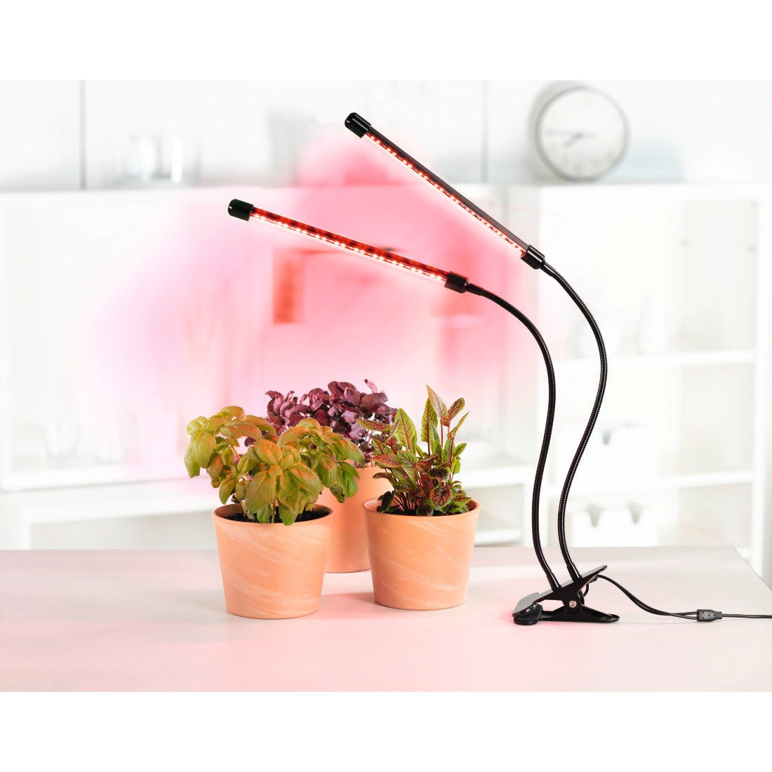 XAVAX 112697 "Stick" LED Plant Lamp