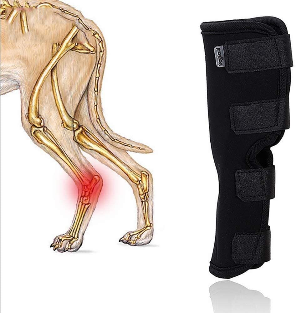 Dog Leg Brace Pet Knee Pads For Injury And Sprain Protection Wounds