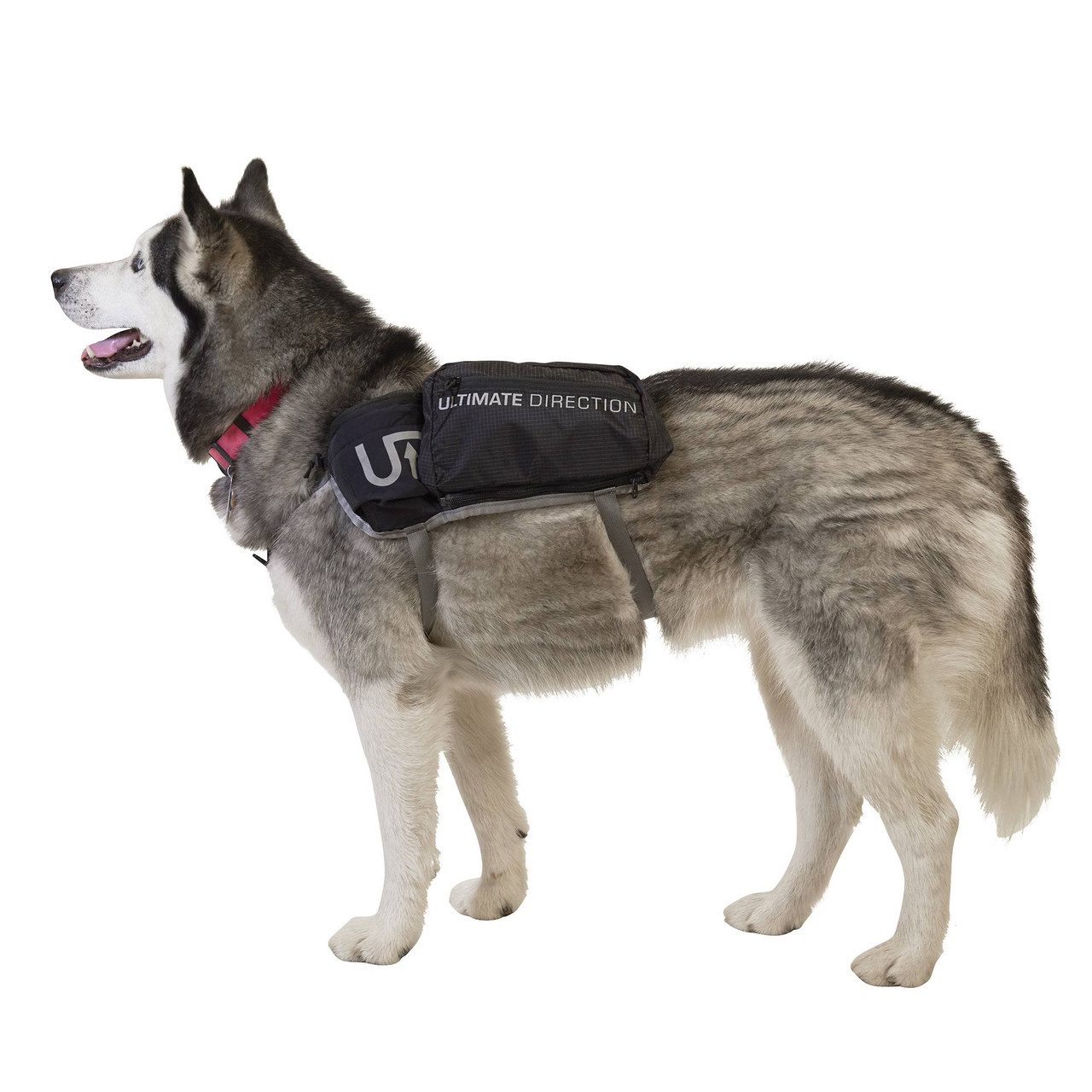 Ultimate Direction Dog Vest, Black