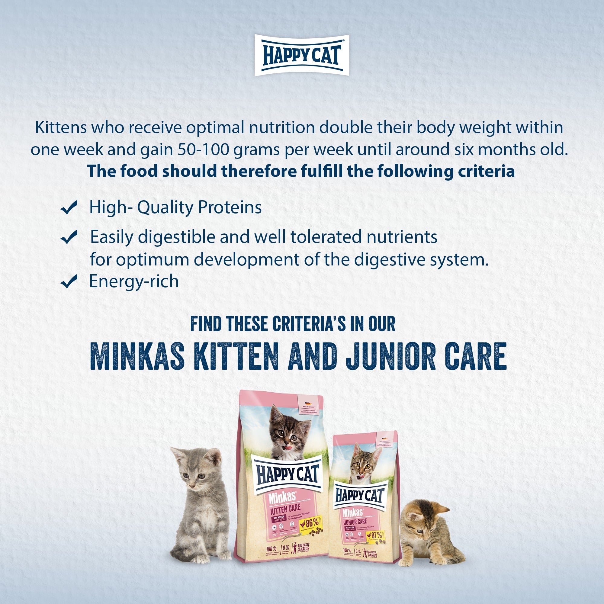 Happy Cat Minkas: العناية بالقطط الصغيرة