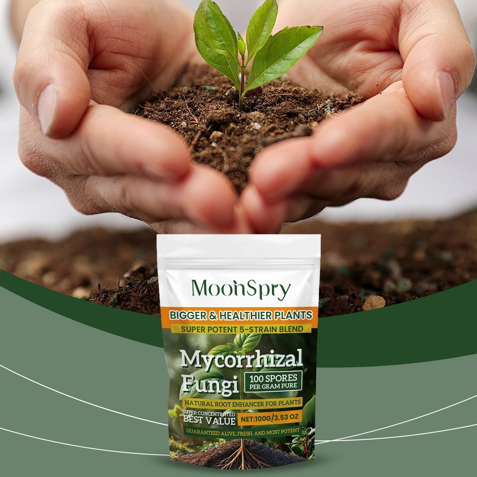 Boost Plant Growth Organic Root Enhancer Powder, Fertilizer for Healthy Roots ,100g