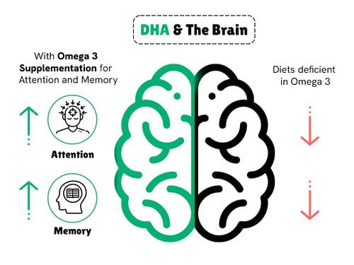 Little Joys DHA Brain Health Gummies 2+ ( Strawberry ) - 30 N