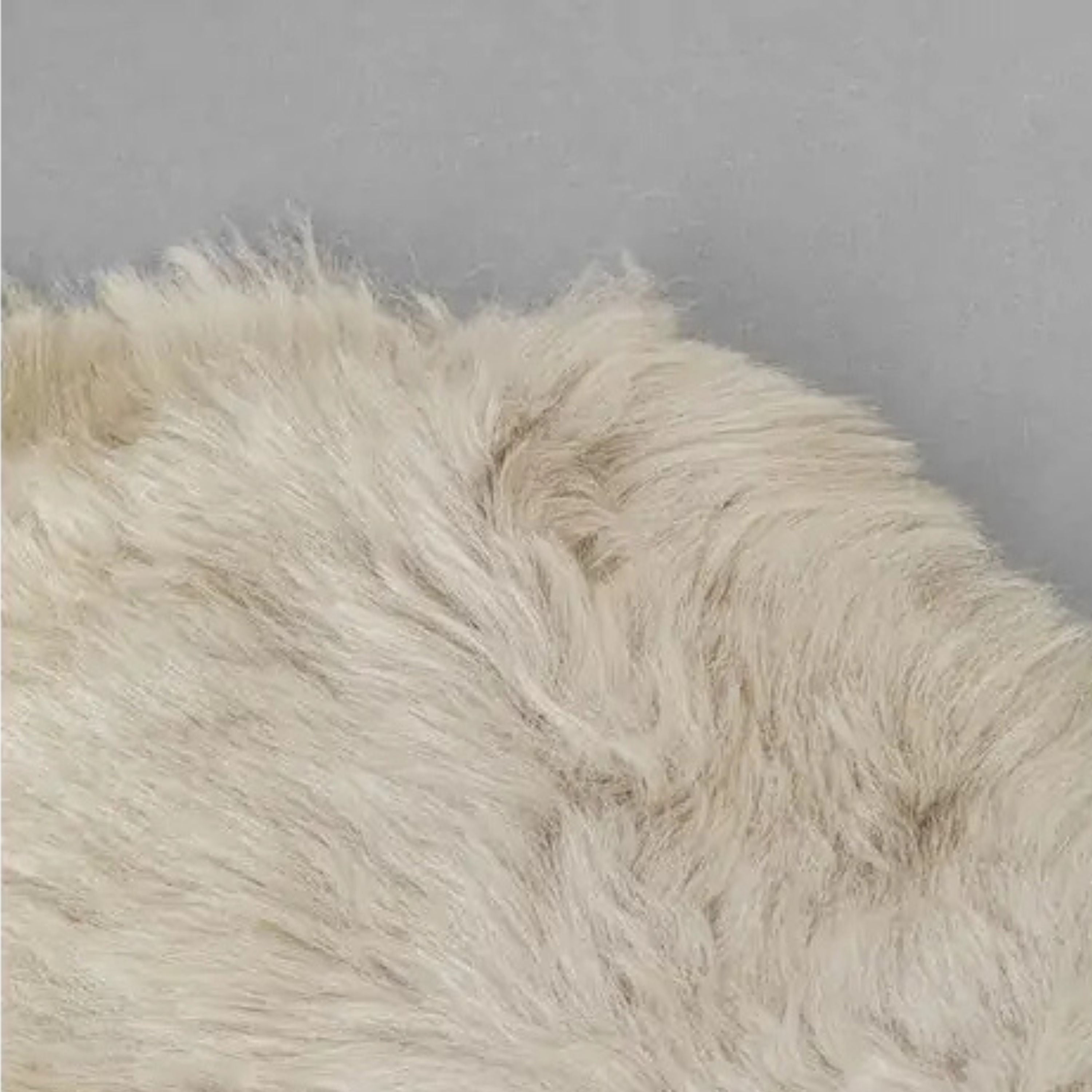 جلد الحمل هايدي