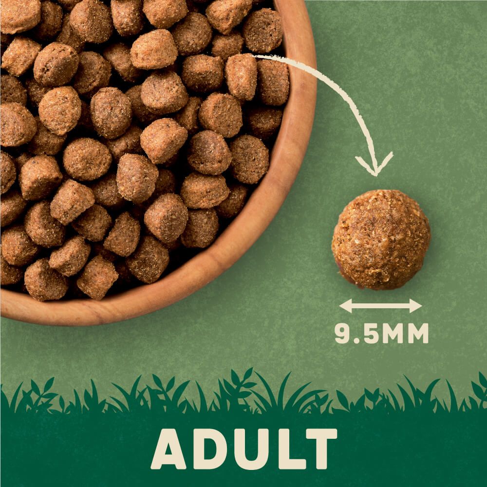 Complete Beef Adult Dry Dog Food -  1.7kg