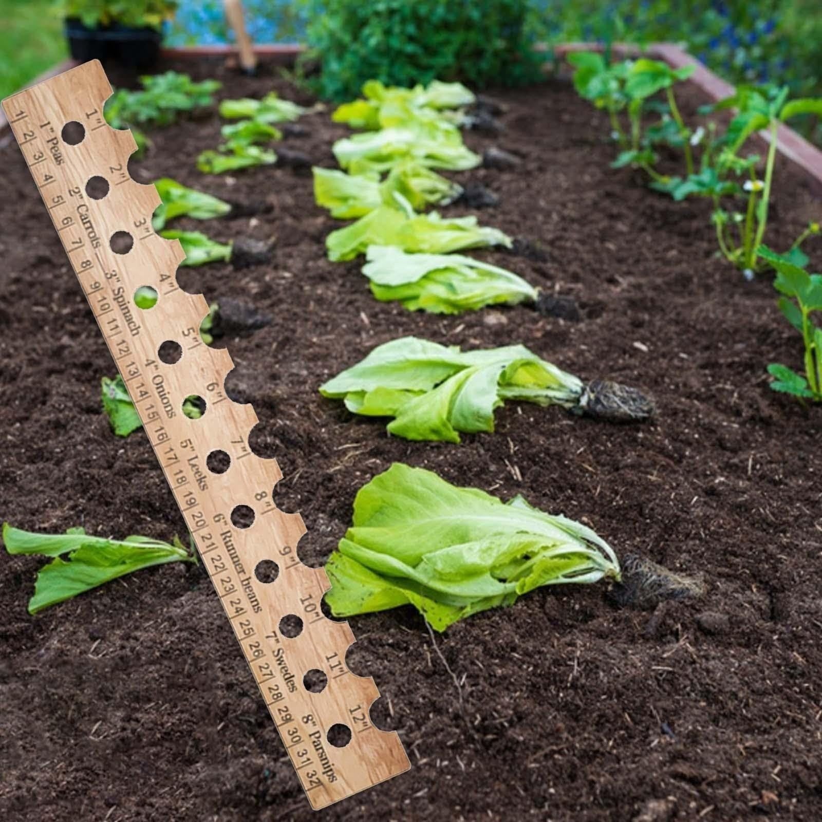 Seed Spacer Seed Ruler Seed Spacing Ruler With Inch And Centimetre Scale