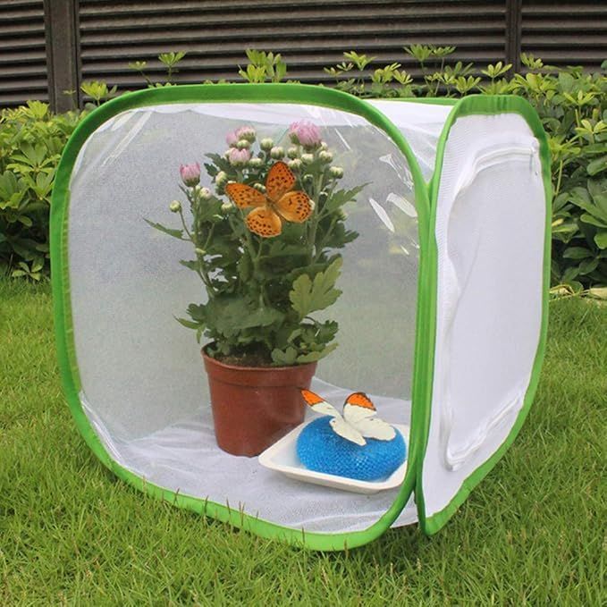 Collapsible Butterfly Habitat Butterfly Cage Insect Mesh Plant Cage