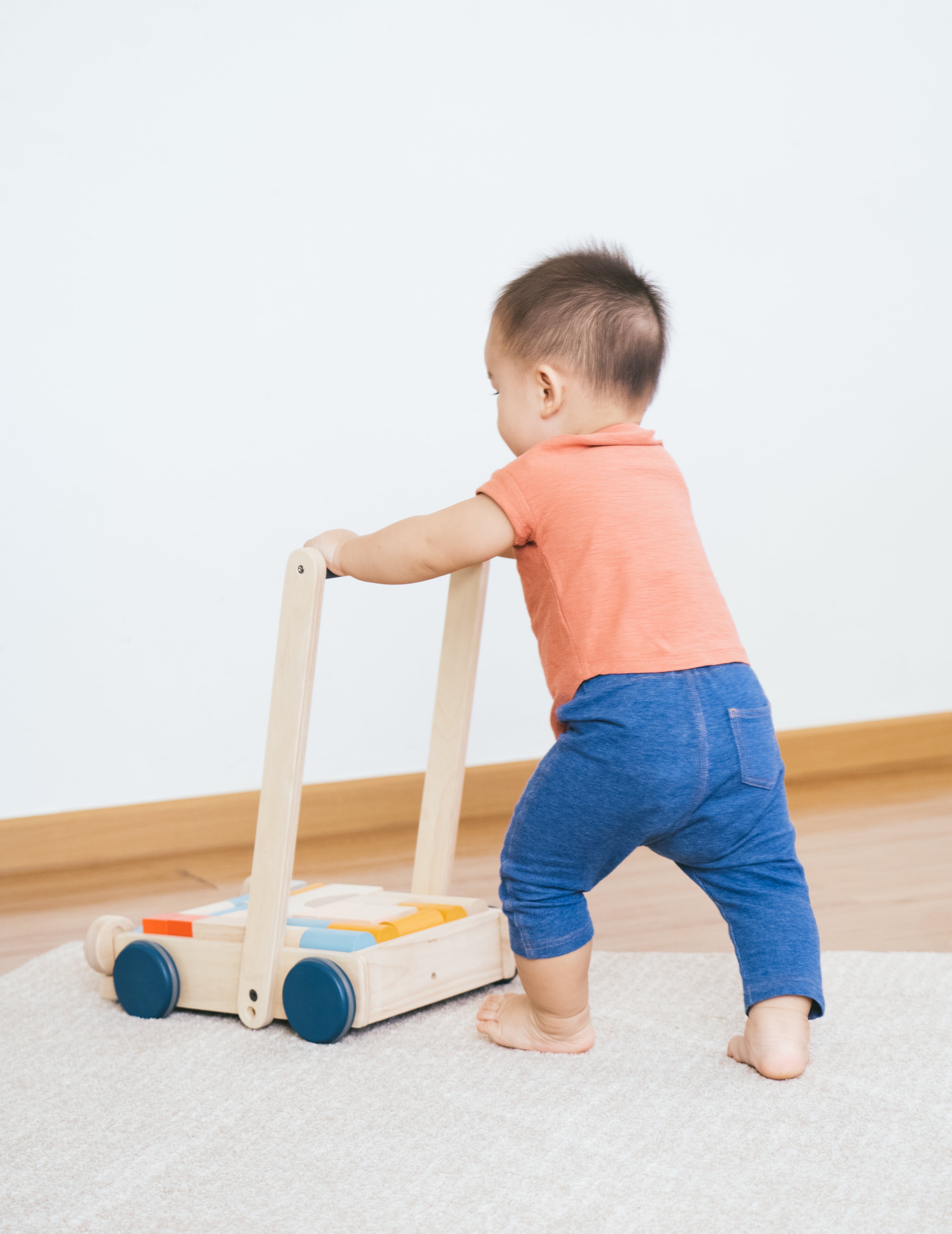 Baby Walker-Orchard