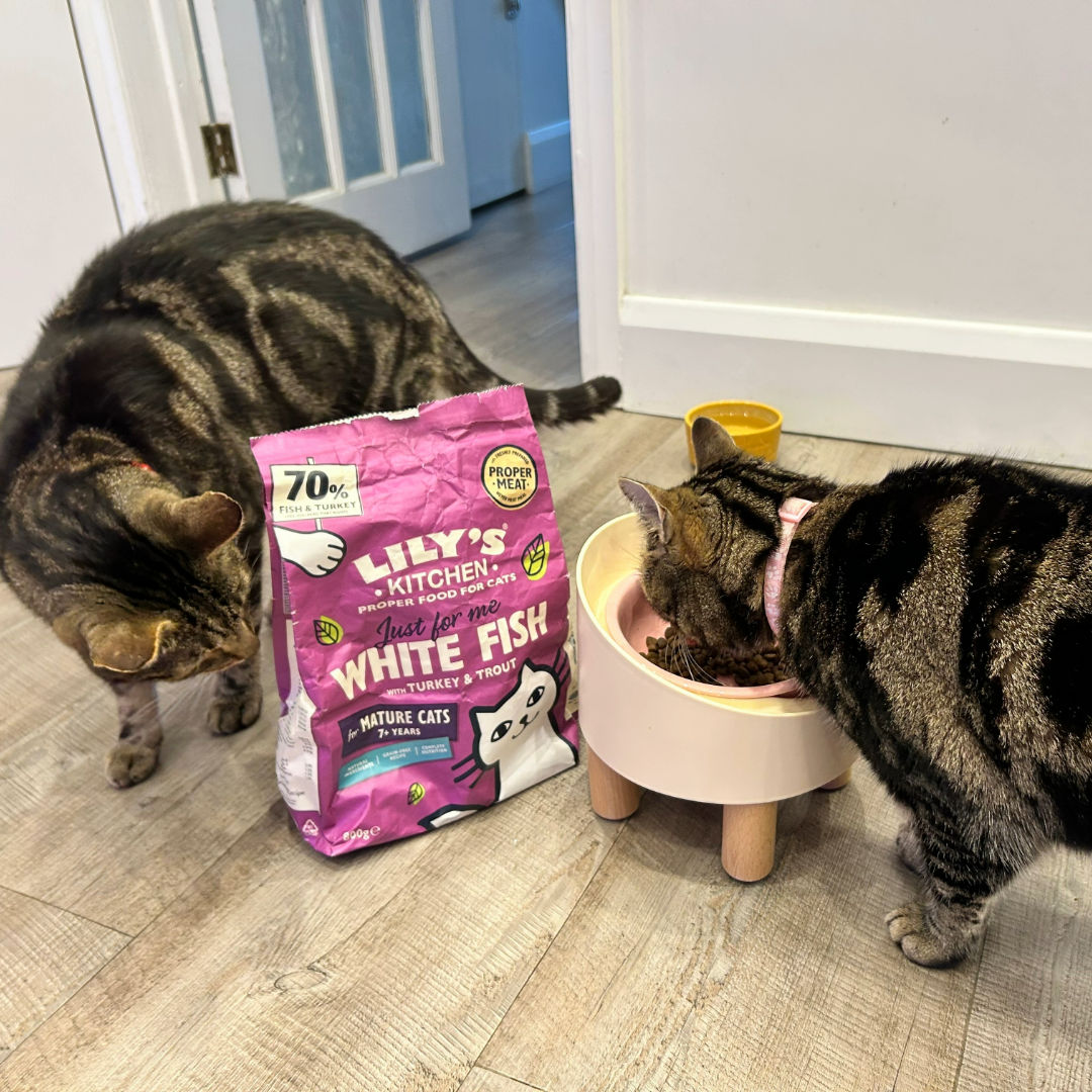 Lily's Kitchen Senior Recipe White Fish with Turkey & Trout Dry Cat Food 800gms