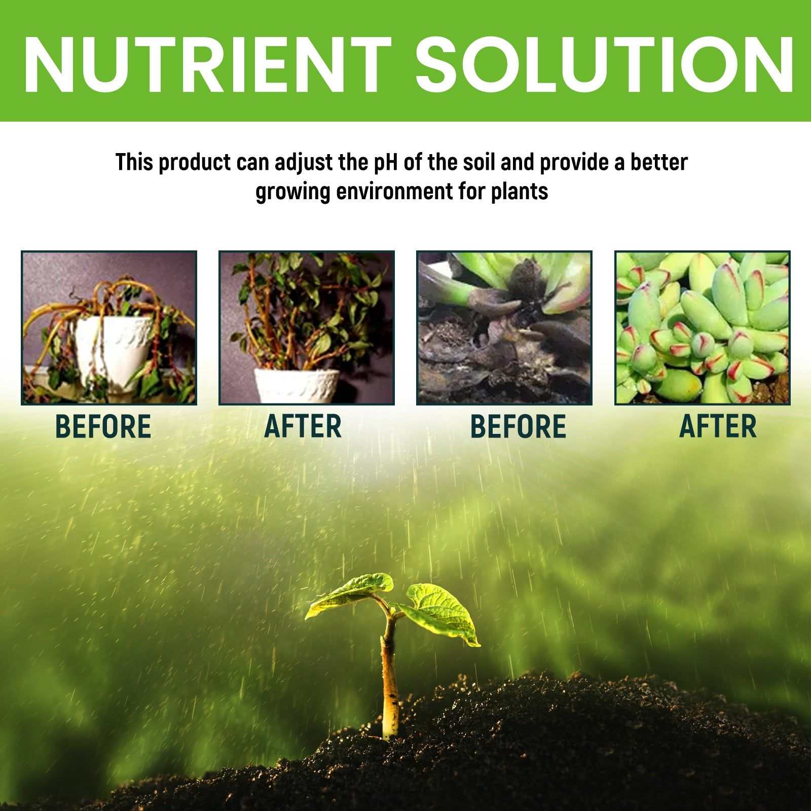 Boost Plant Nutrient Solution, Promote Growth, Vibrant Leaves, Flowers, Lawn, Easy to Use ,100ml