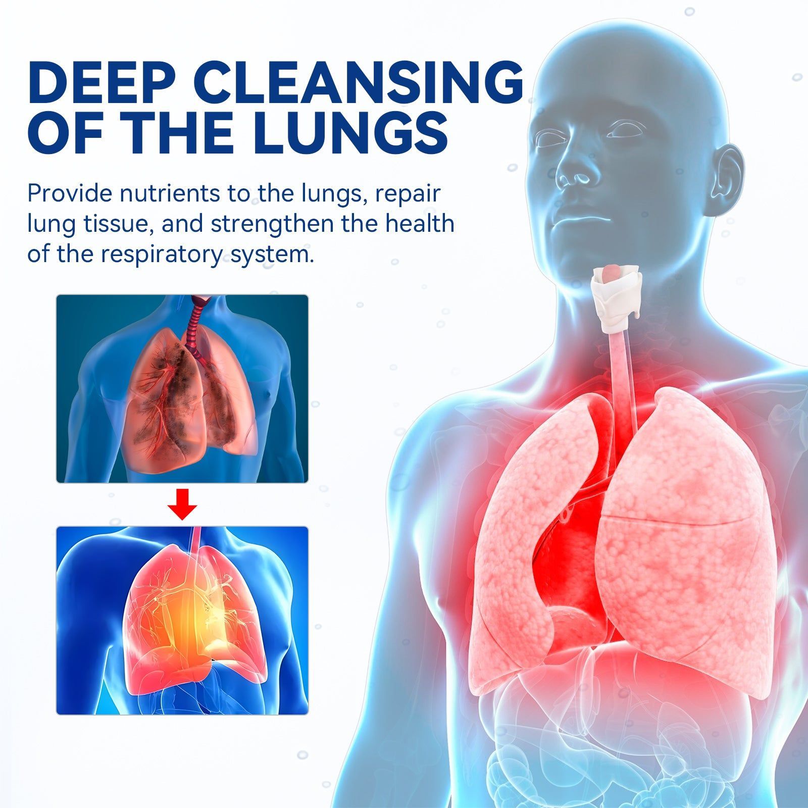 Body Care Spray for Lung Detox, Respiratory Relief, Nasal Congestion, Cough Relief ,30ml