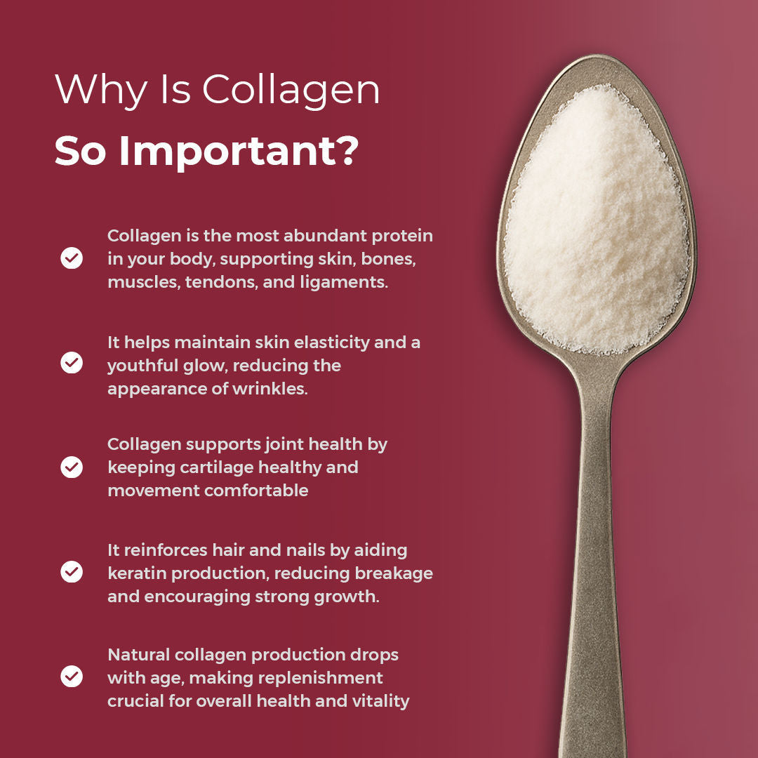 مسحوق كولاجين+ من Hi Nutrition 198 جرام