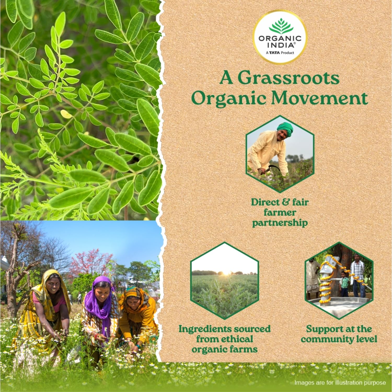 ORGANIC INDIA Moringa Powder Can 100g