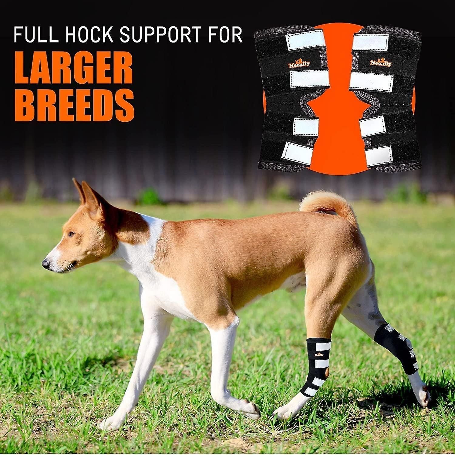 1 Pair Dog Rear Leg Brace Canine Rear Hock Joint Support With Safety Reflective Straps