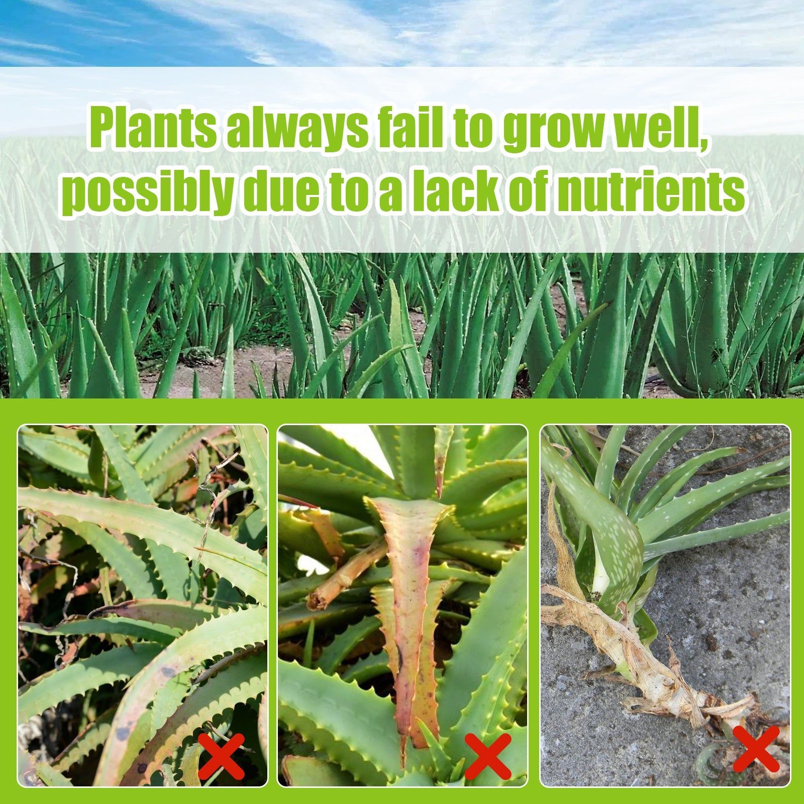 Boost Plant Growth with Premium Aloe Vera Fertilizer Spray, Fast Root & Leaf Health ,100ml