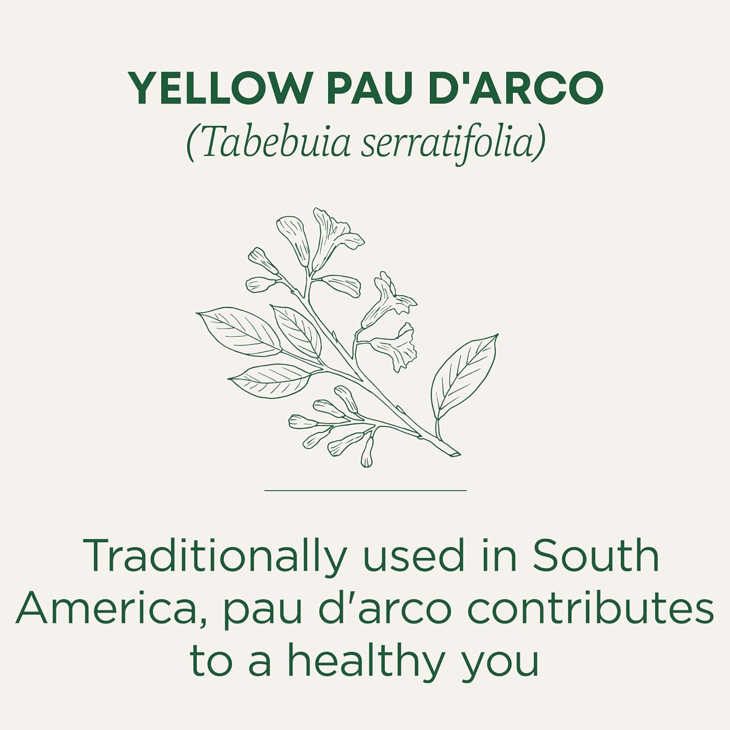 Traditional Medicinal Pau D Arco, 16 Teabags