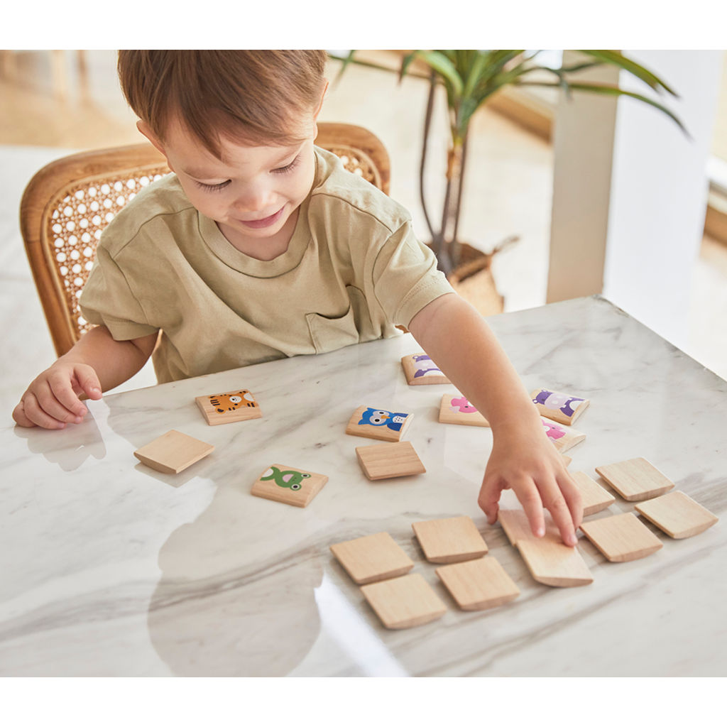 PlanToys Animals Memo