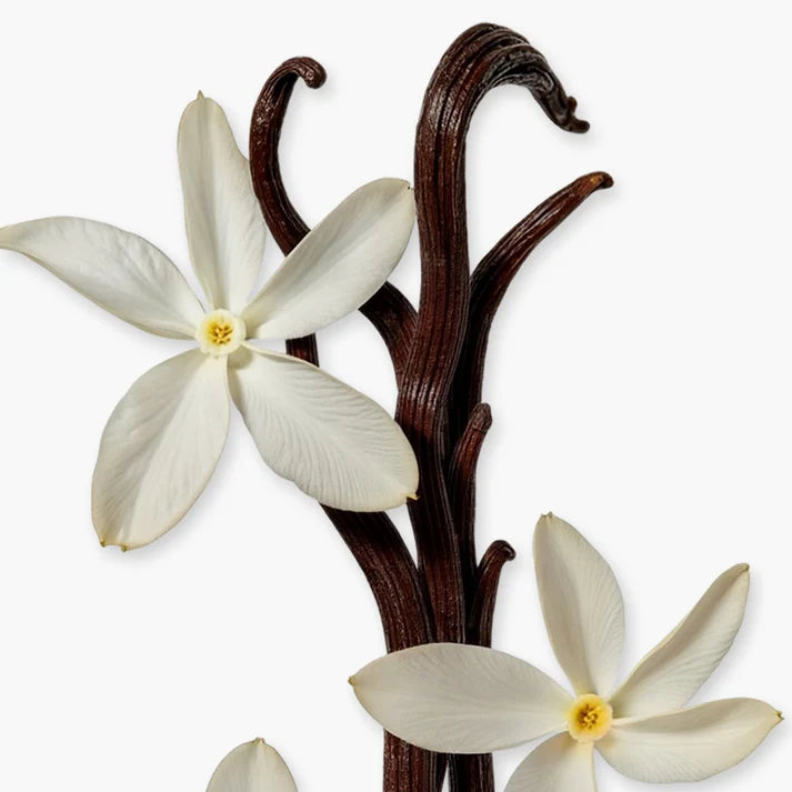 عطر سافاناد 75 مل