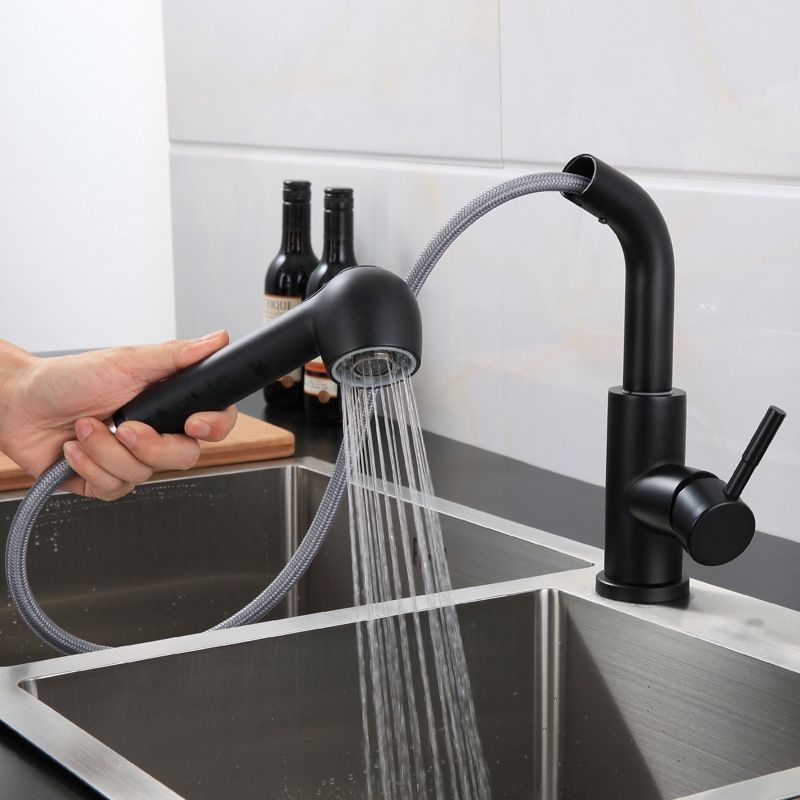 Stainless Steel Kitchen Sink Pull-out Faucet Sink Pull-out Faucet