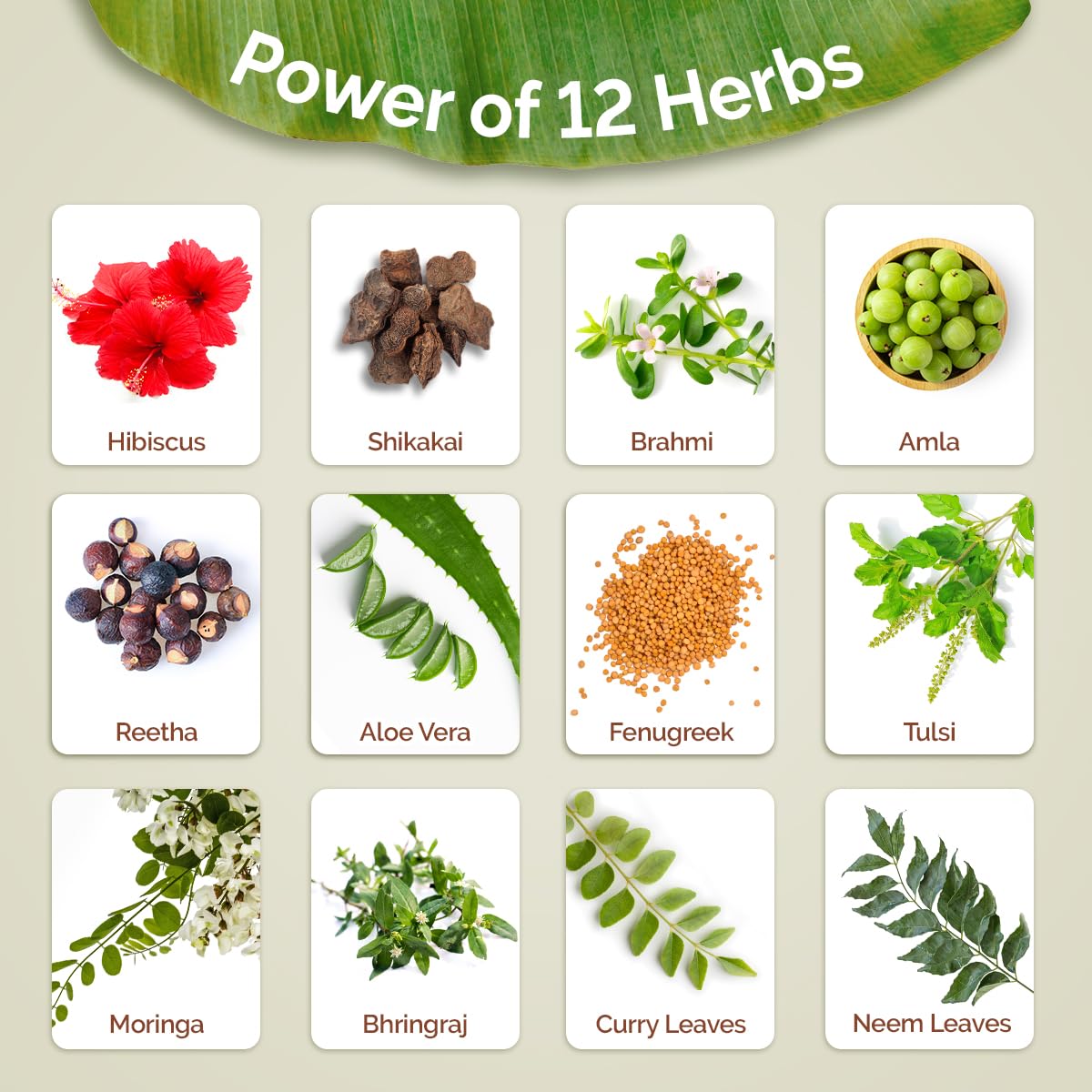 زيت الشعر Mamaearth Kerala Thaali 150 مل