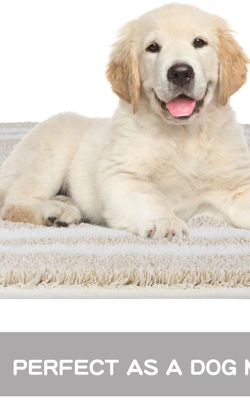 AIESY® Non-Slip Super Absorbent Quick Dry Shaggy Microfiber Bath Mat
