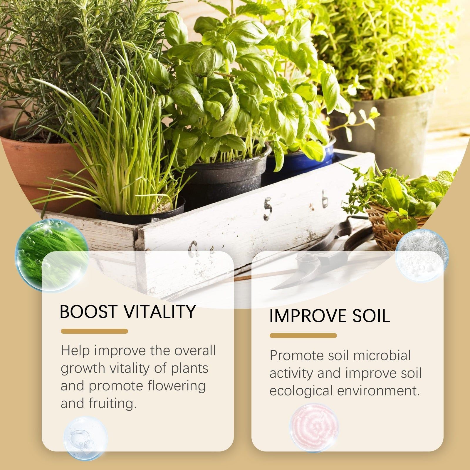 Boost Plant Nutrition, Root Growth Powder, Soil Fertilizer, Garden Plant Booster ,100g