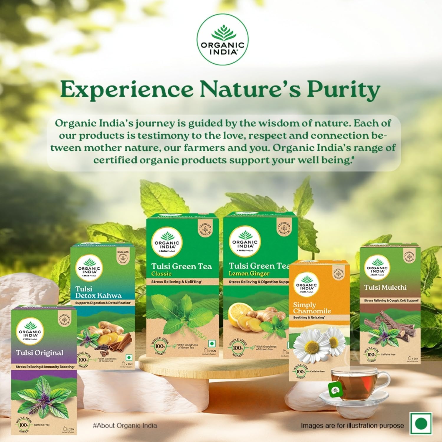 شاي تولسي الزنجبيل والكركم من ORGANIC INDIA، 25 كيس شاي