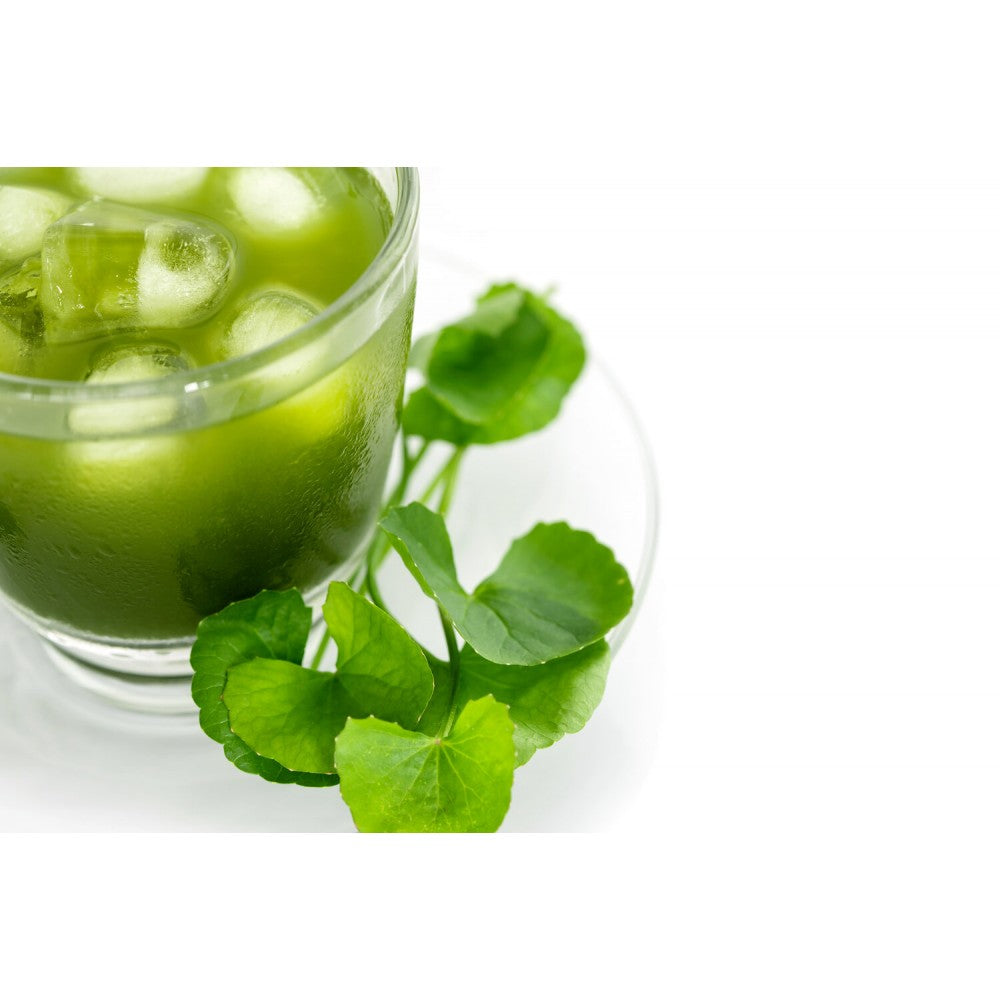 Aquasol Gotu Kola Herb Tea 20g