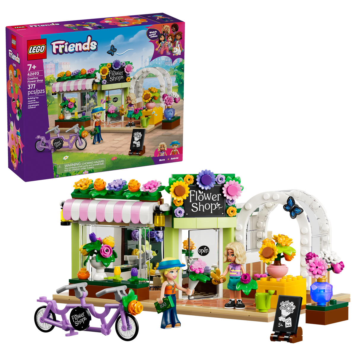 42693 Creative Flower Shop V29