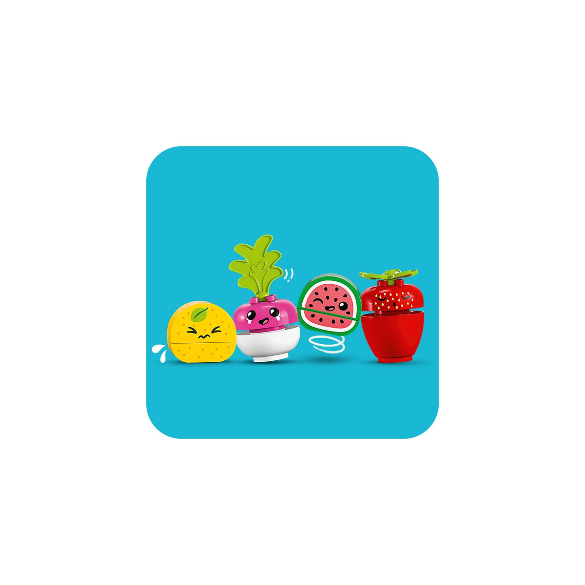 LEGO DUPLO-Organic Market