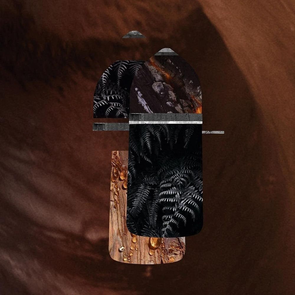 Pasha Noir De Absolu Parfum 100ml