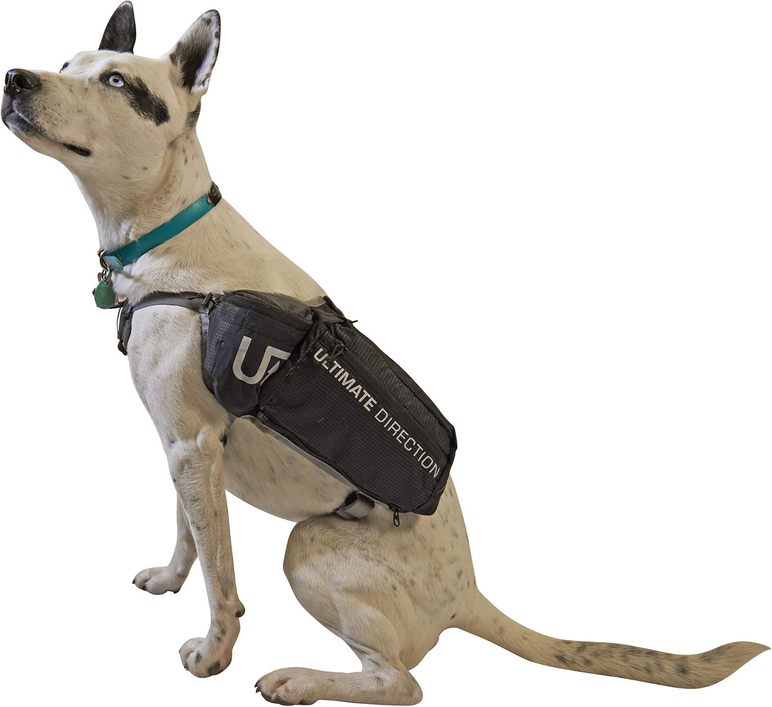Ultimate Direction Dog Vest, Size Small, Black