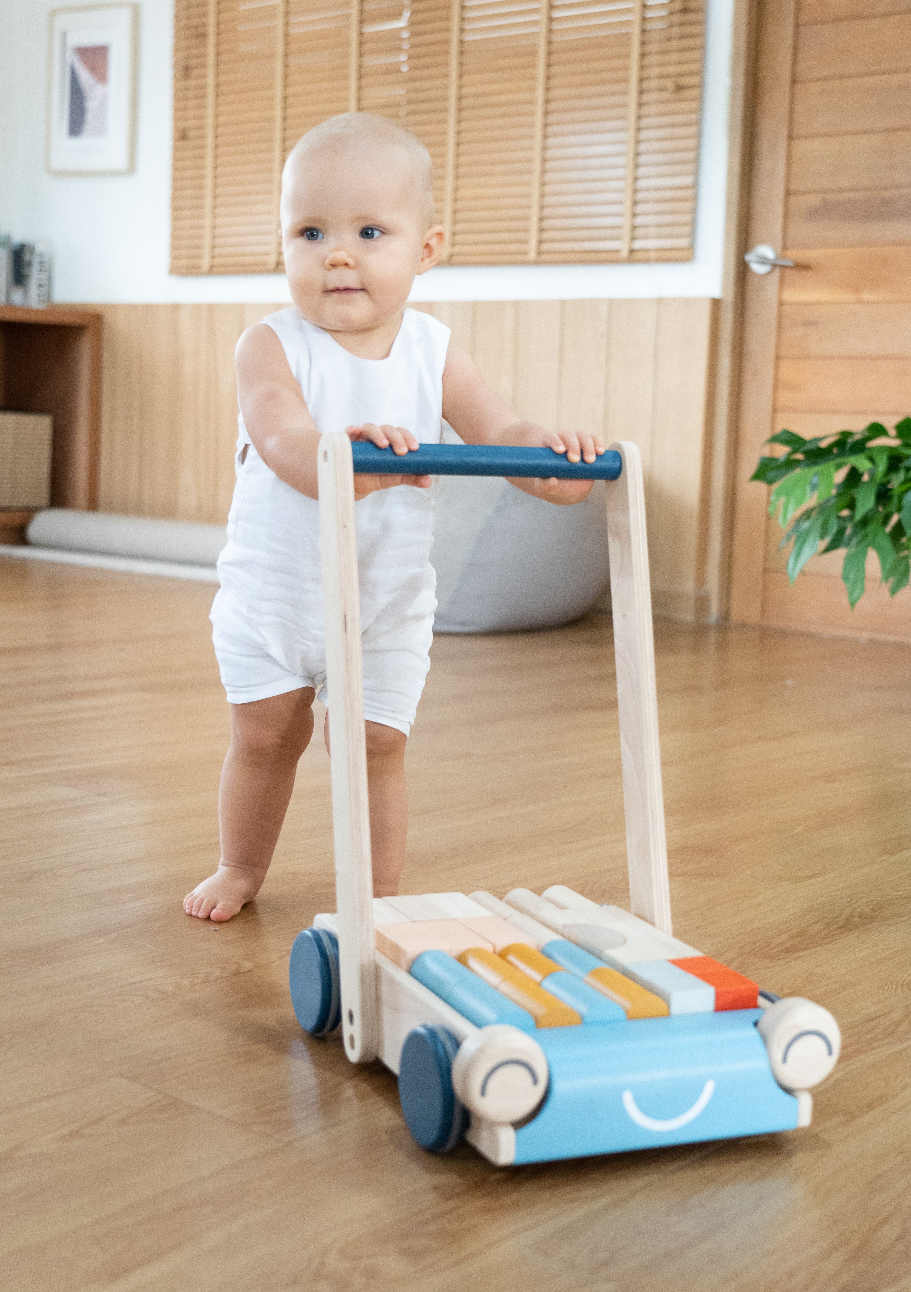 Baby Walker-Orchard