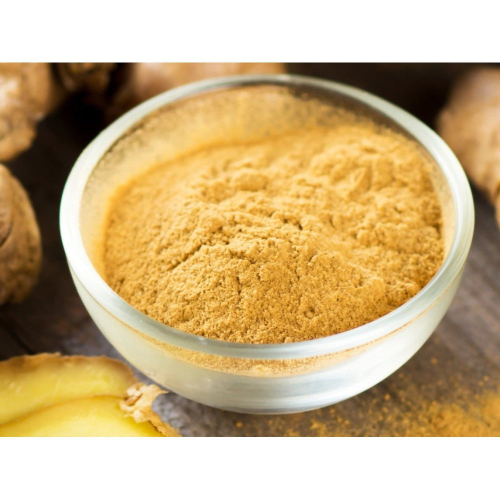 Aquasol Ginger Root Tea 20g