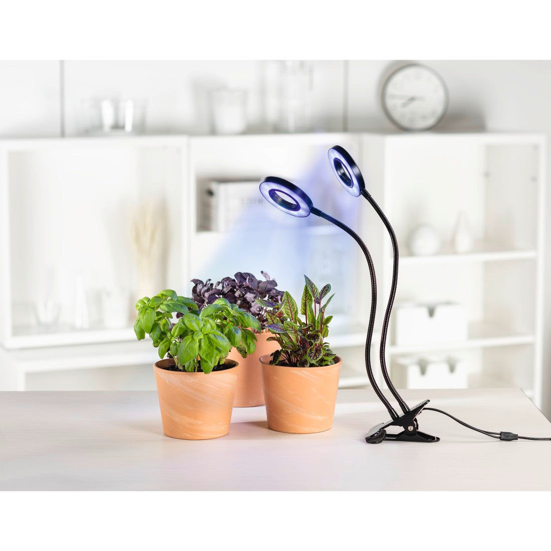 XAVAX 112696 "Circle" LED Plant Lamp
