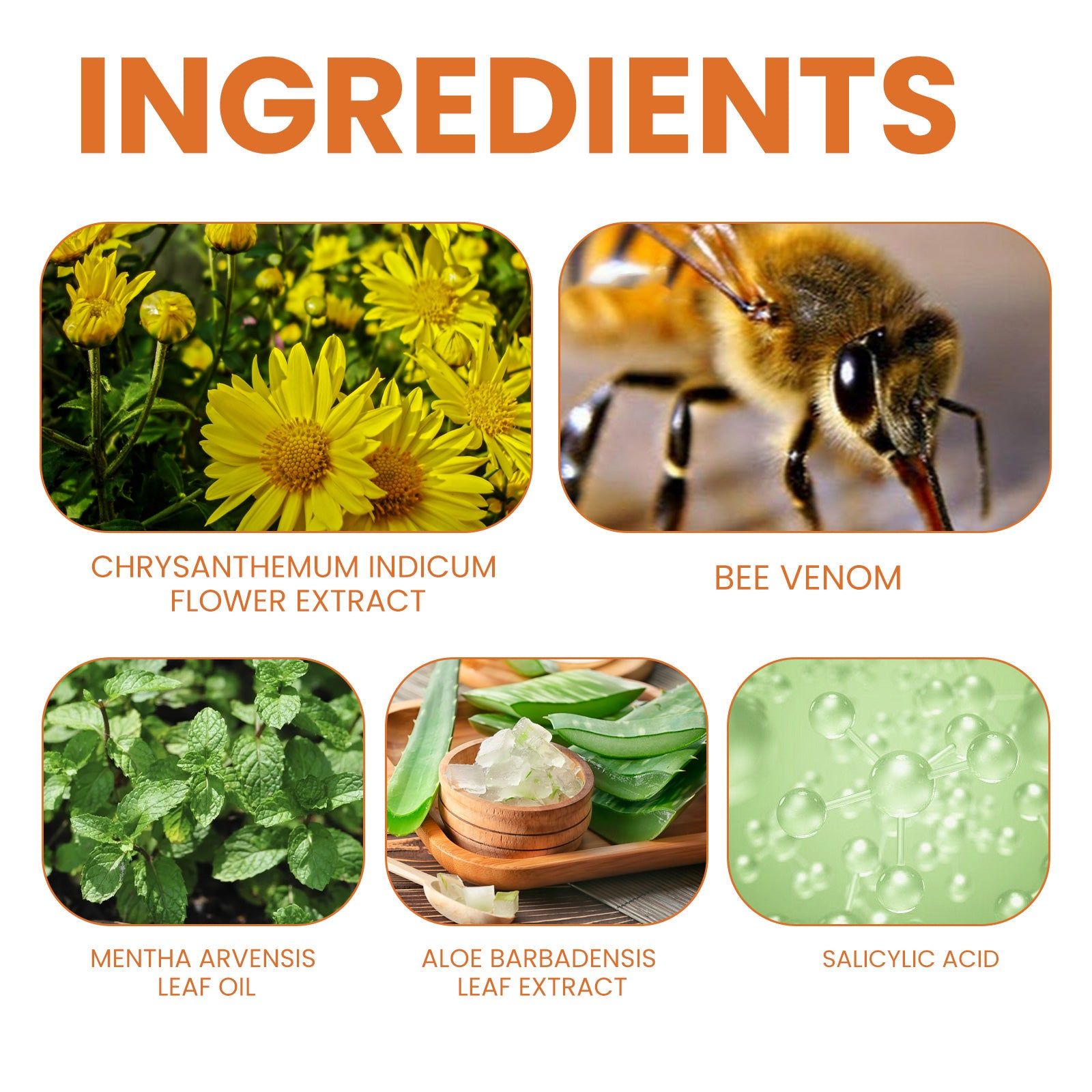 Bee-Poison Cowhide Moss Cream for Skin Care, Relieves Redness, Itchiness, Psoriasis ,20g