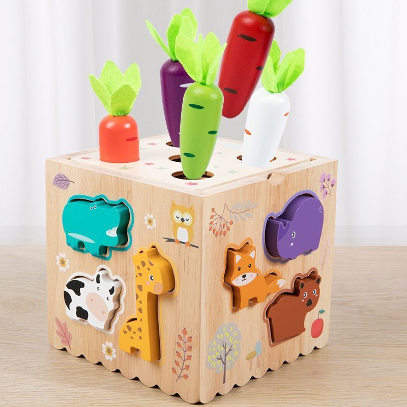 Wooden Montessori Toys Shape Sorter Wooden Puzzle Shape Matching Toys Toddlers Gift