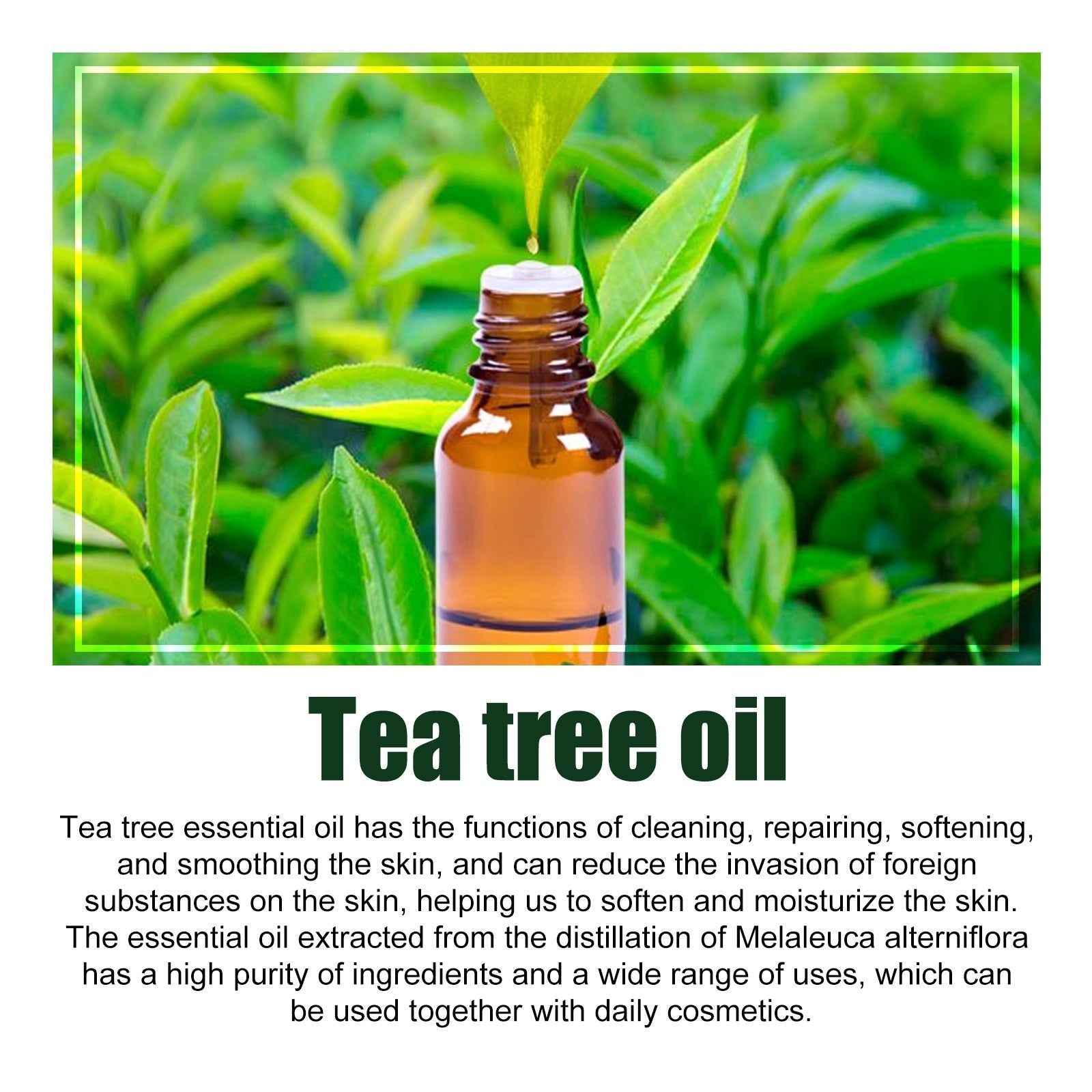 Revitalize Hair and Skin with Tea Tree Essential Oil, Natural Moisturizer ,30ml
