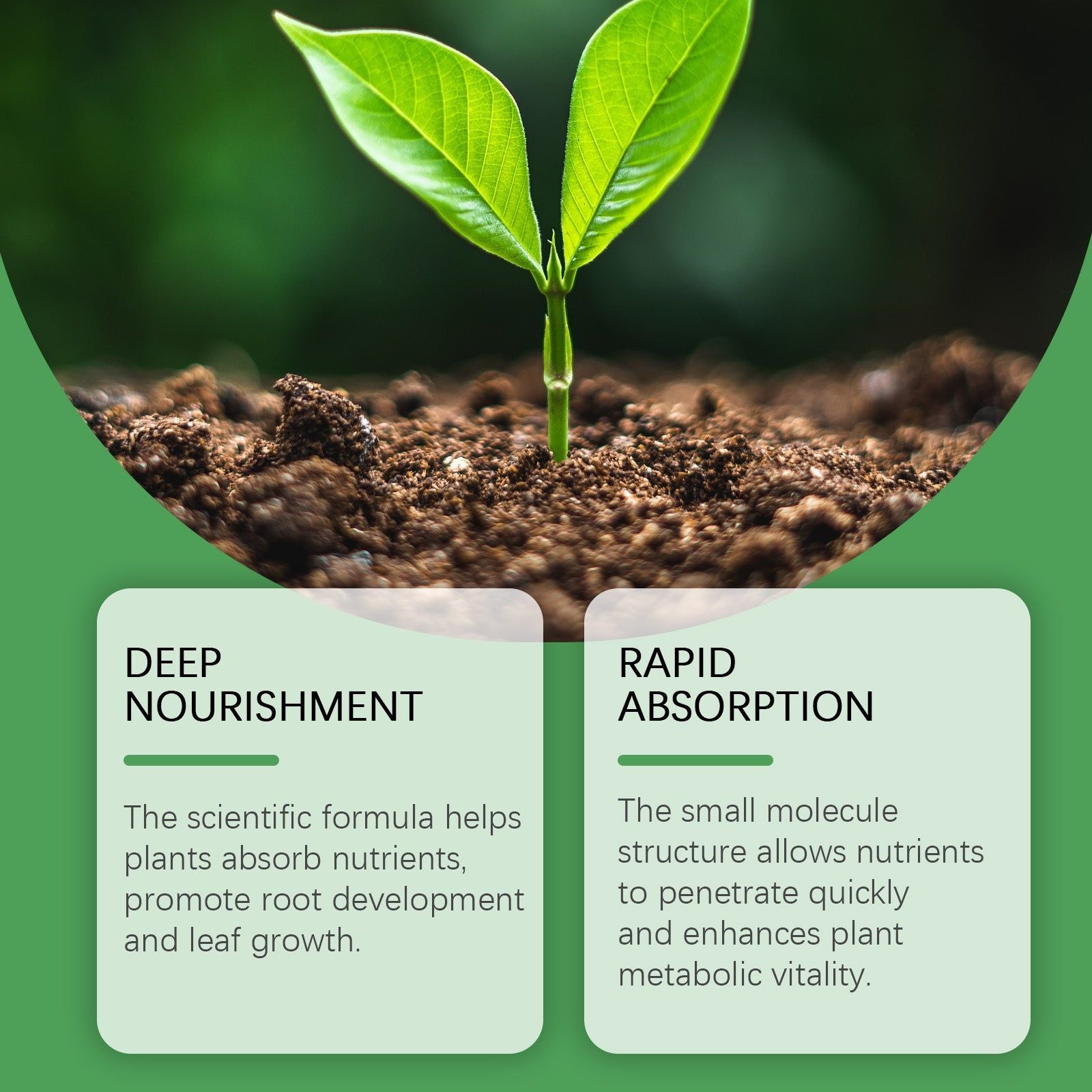 Boost Plant Growth with Top-Rated Plant Nutrient Solution for Fruits, Vegetables, Flowers ,120ml