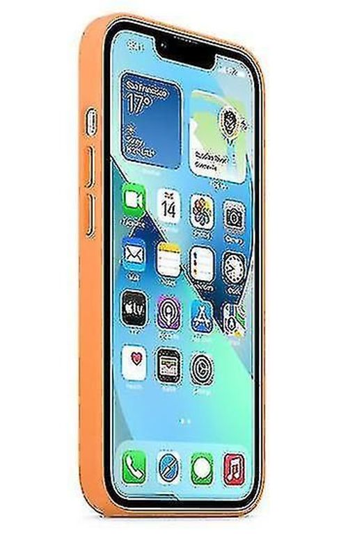 Silicone Case With Magsafe For Iphone 13 Mini Phone Case