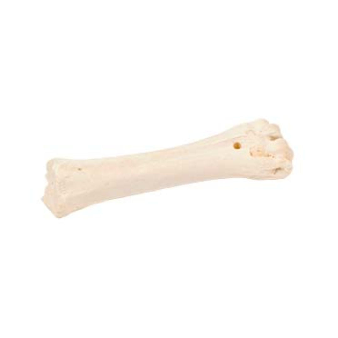 Duvo+ Filled Beef Bone Meats Dog Snacks