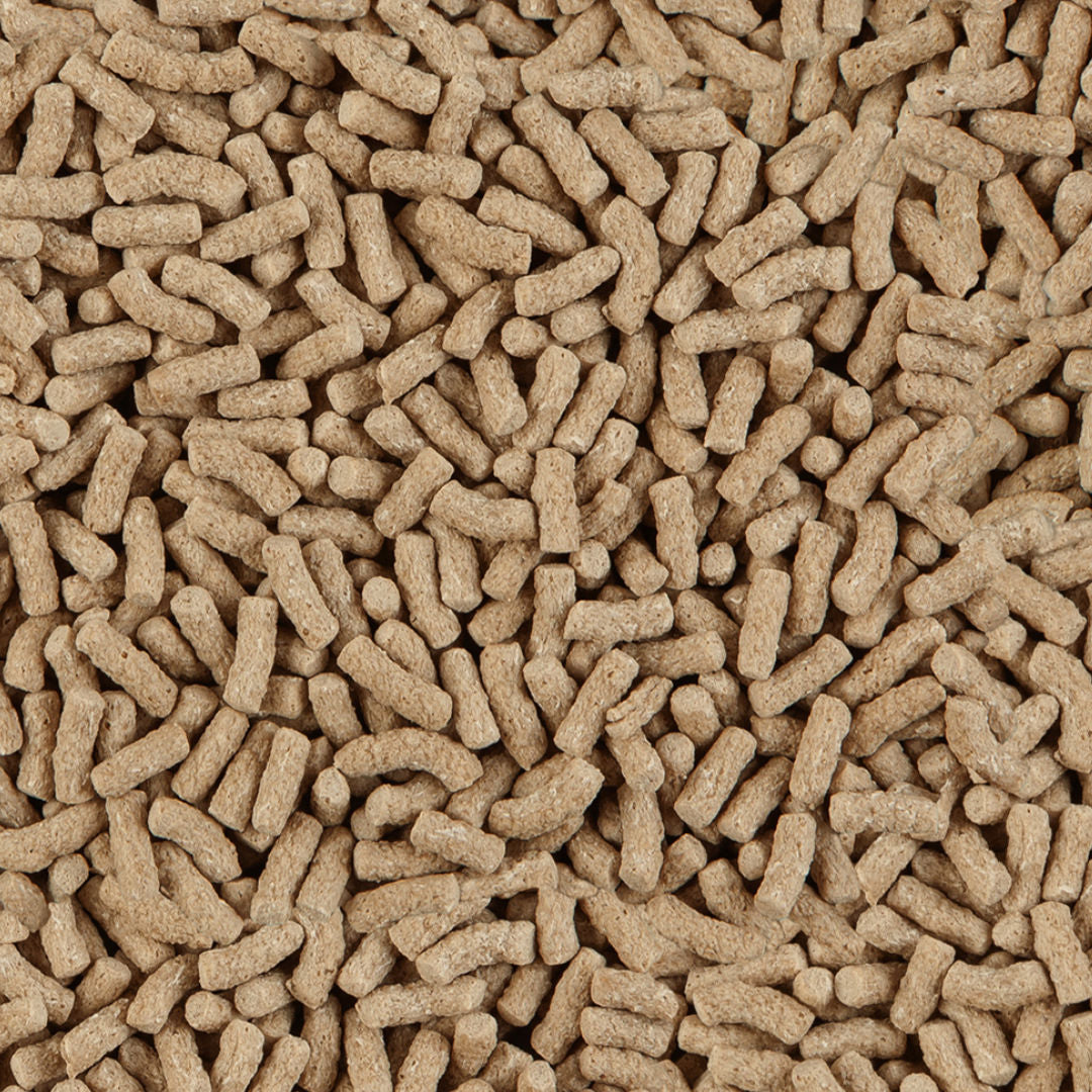 Sera Pond Granulate, Sticks Nature Staple Food for Larger Pond Fish, 1000 ML