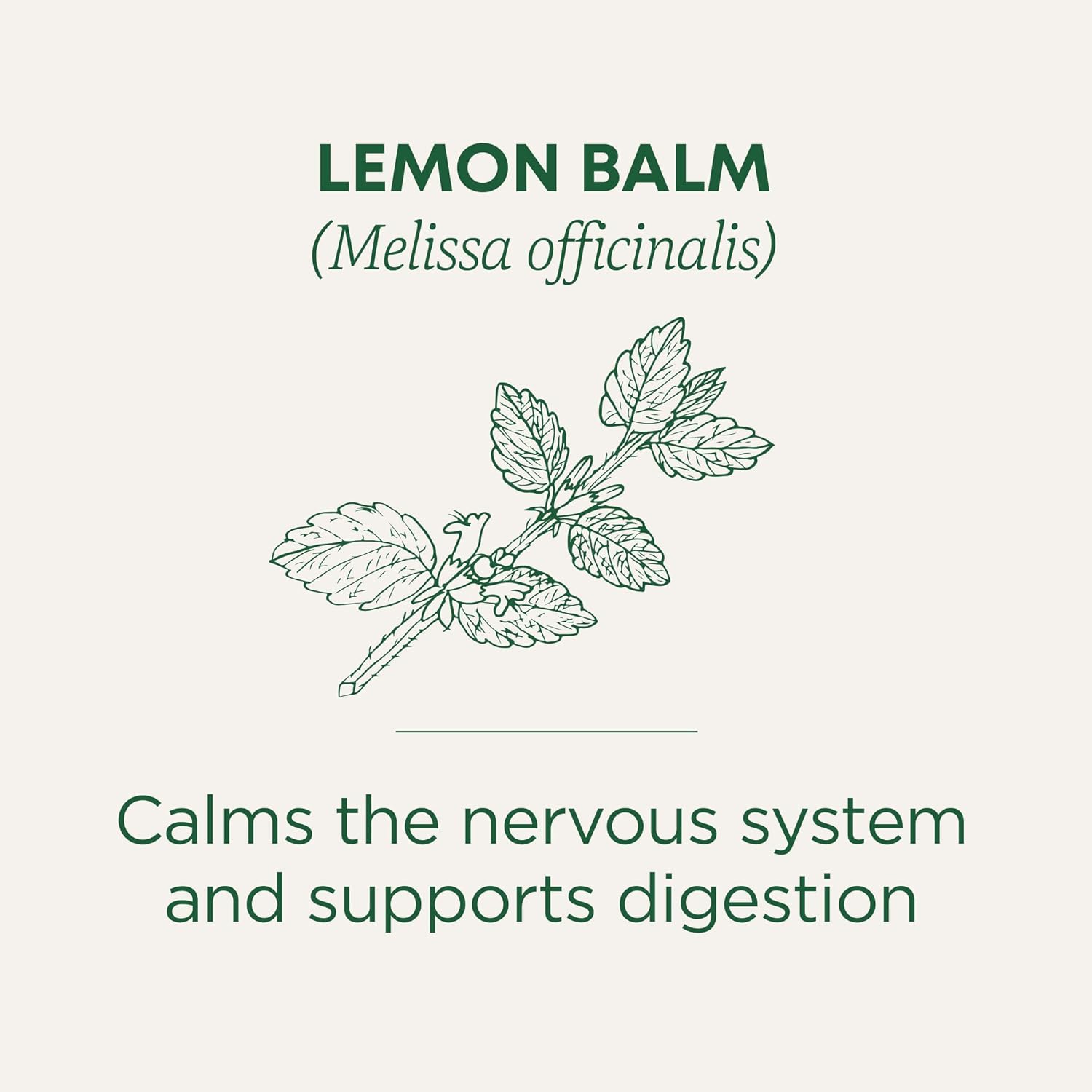 Traditional Medicinal Lemon Balm, 16 Teabags