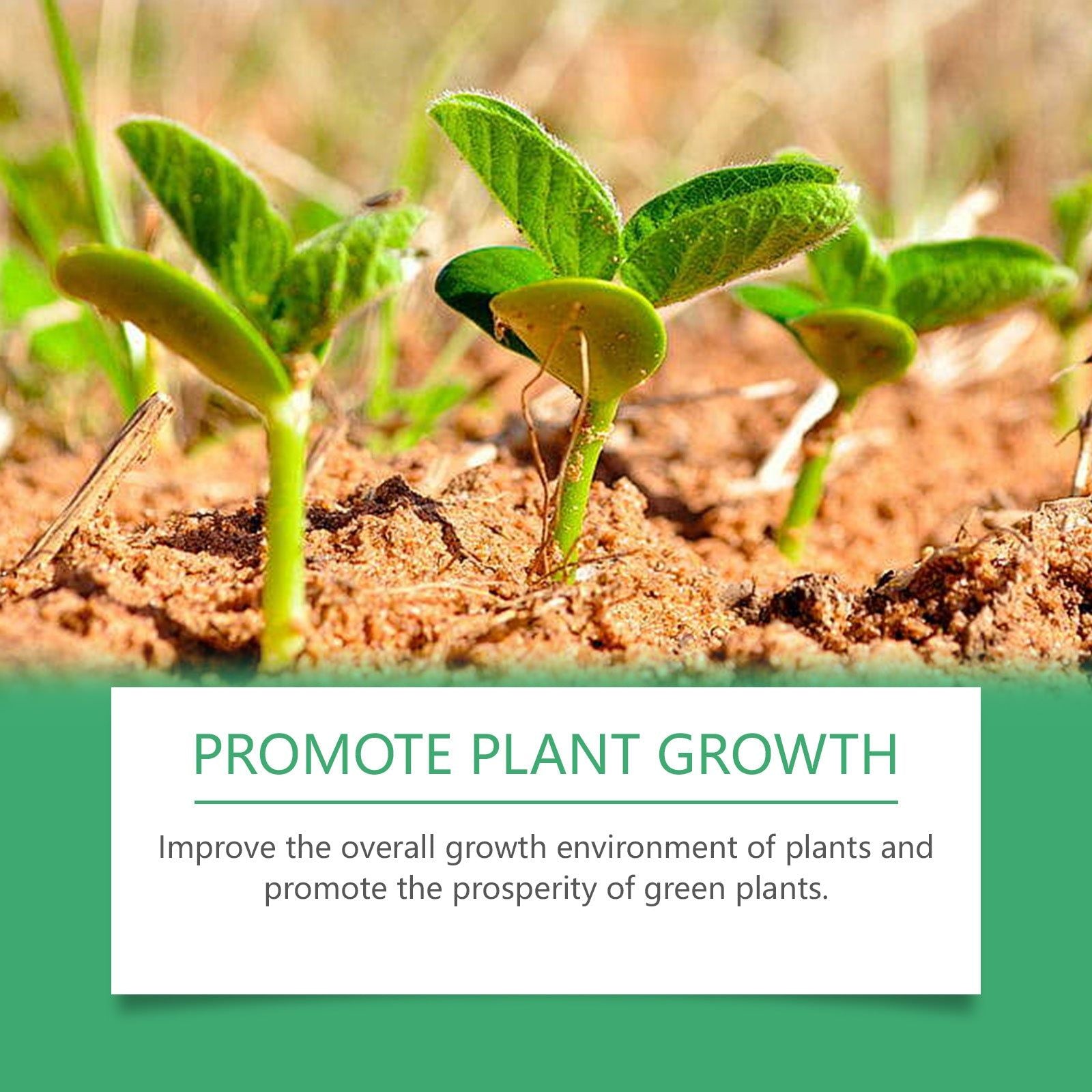 Boost Plant Growth with Chlorophyll Spray, Fertilizer for Healthy Green Plants ,100ml
