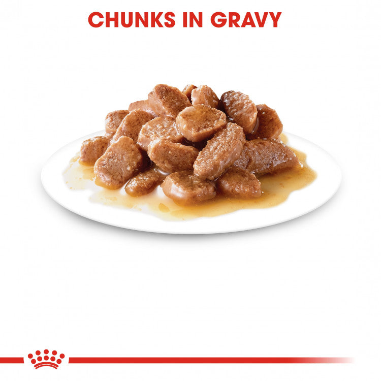 Royal Canin Feline Health Nutrition Sterilized Gravy - 12 Wet Food Pouches