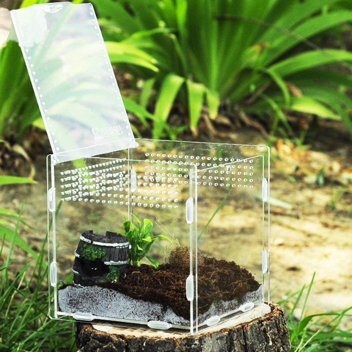 Feeding Box Transparent Acrylic Terrarium Containers for Spider Frog Scorpion