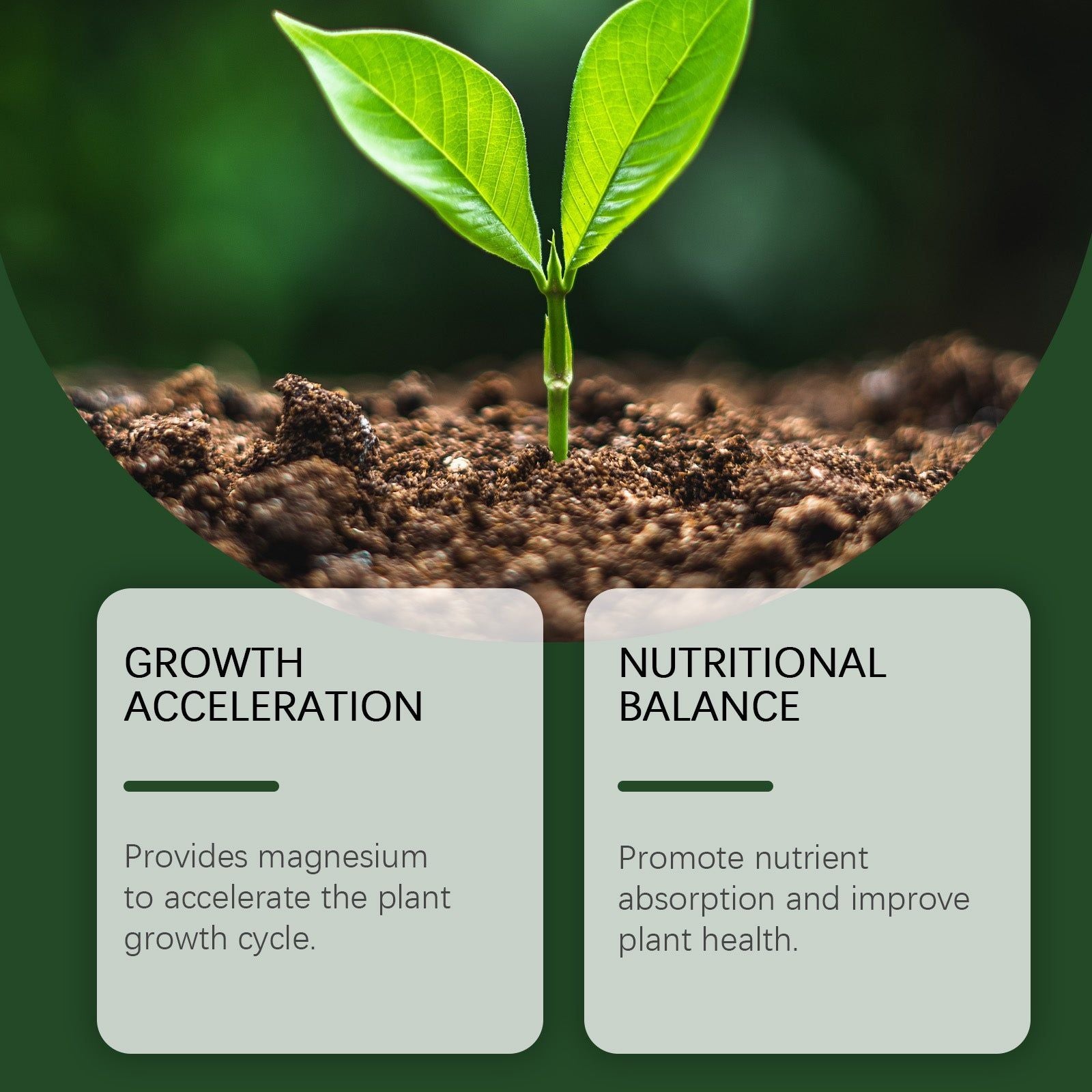 Boost Plant Growth with Nutrient Powder, Soil Conditioner, Easy to Use ,100g