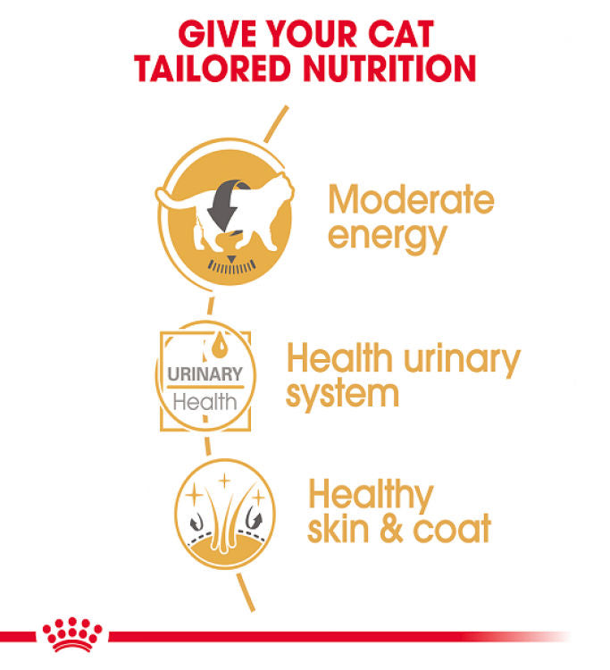 Royal Canin Feline Breed Nutrition British Shorthair - 12 Wet Food Pouches