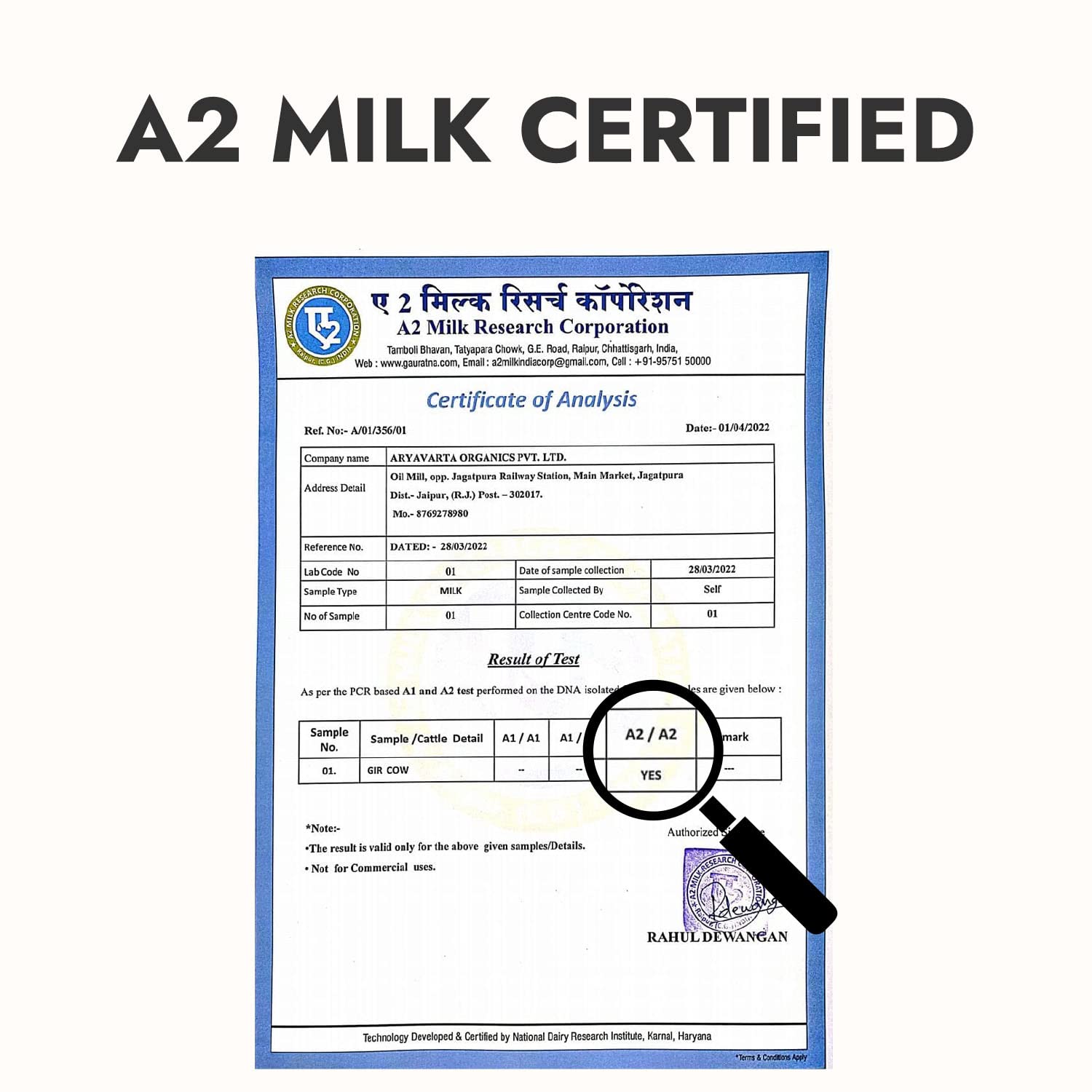 Kapiva A2 Cow Desi Ghee 500ml Buy One Get One