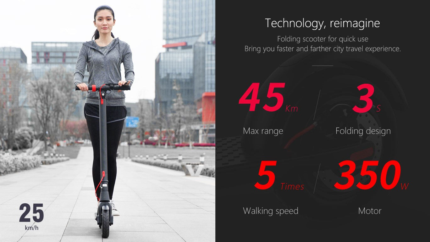 Electric Scooter