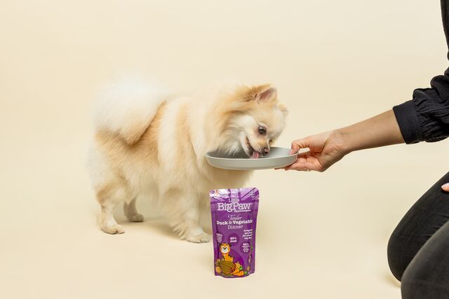 Little Big Paw Duck & Vegetable Dinner - 150g